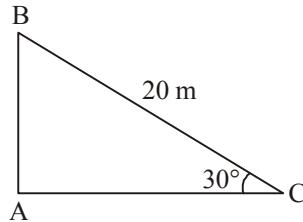 Right triangle with rope 20m and angle 30°