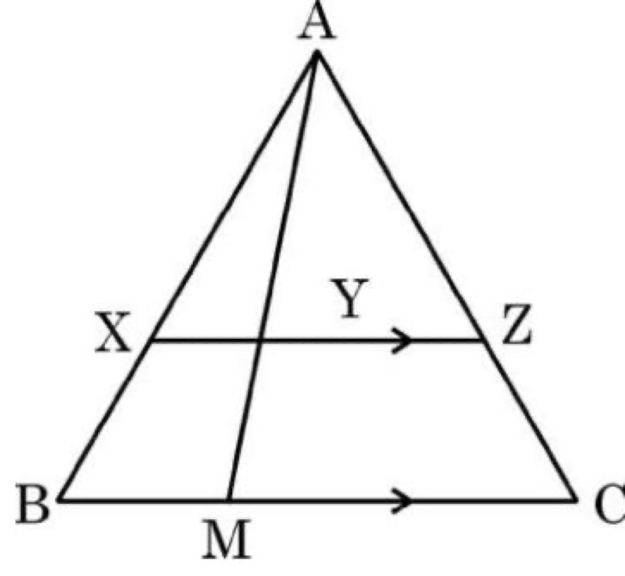 Triangle ABC with XZ parallel to BC, points X on AB, Y on XZ, Z on AC