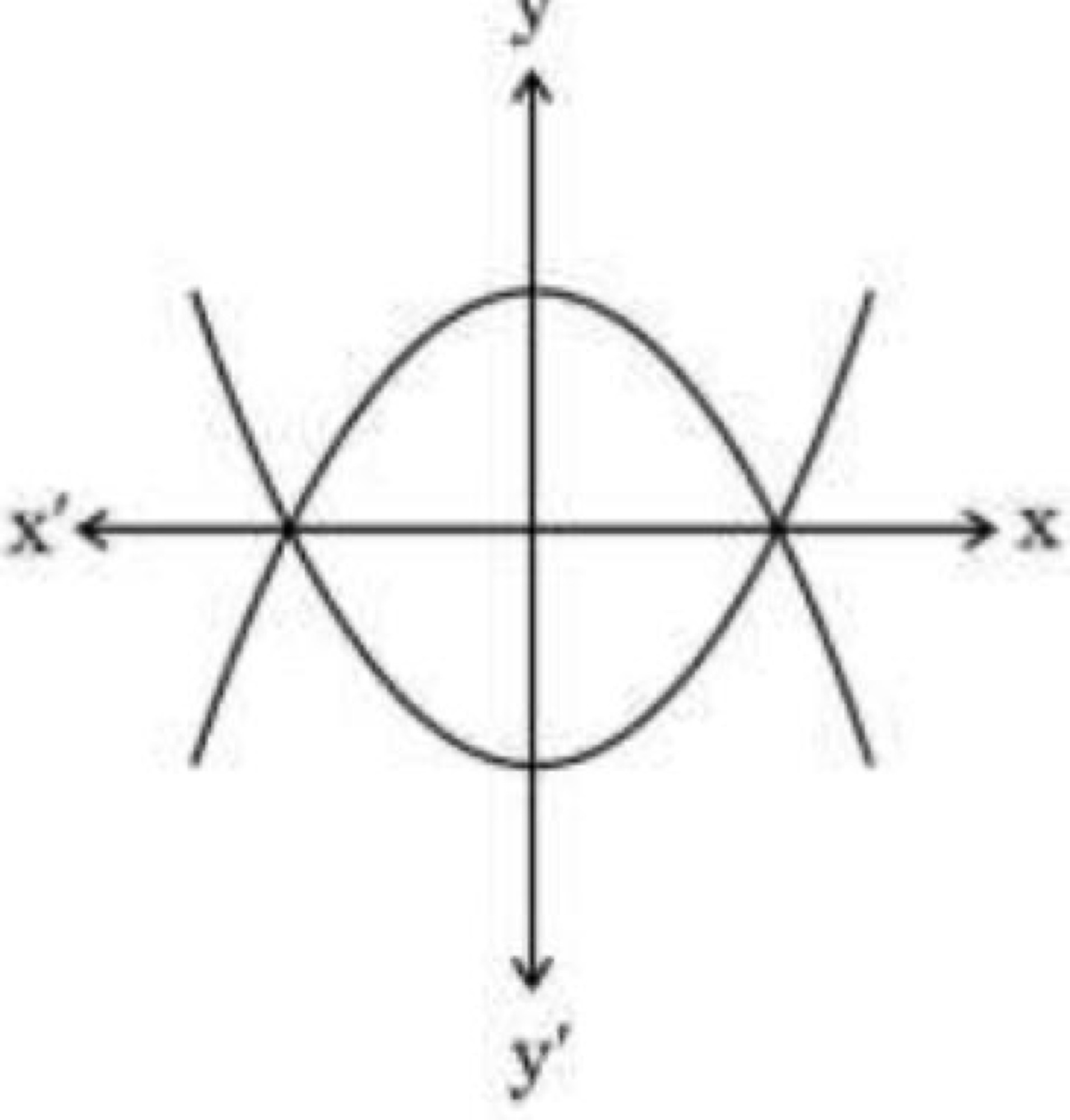 Graph of two polynomials
