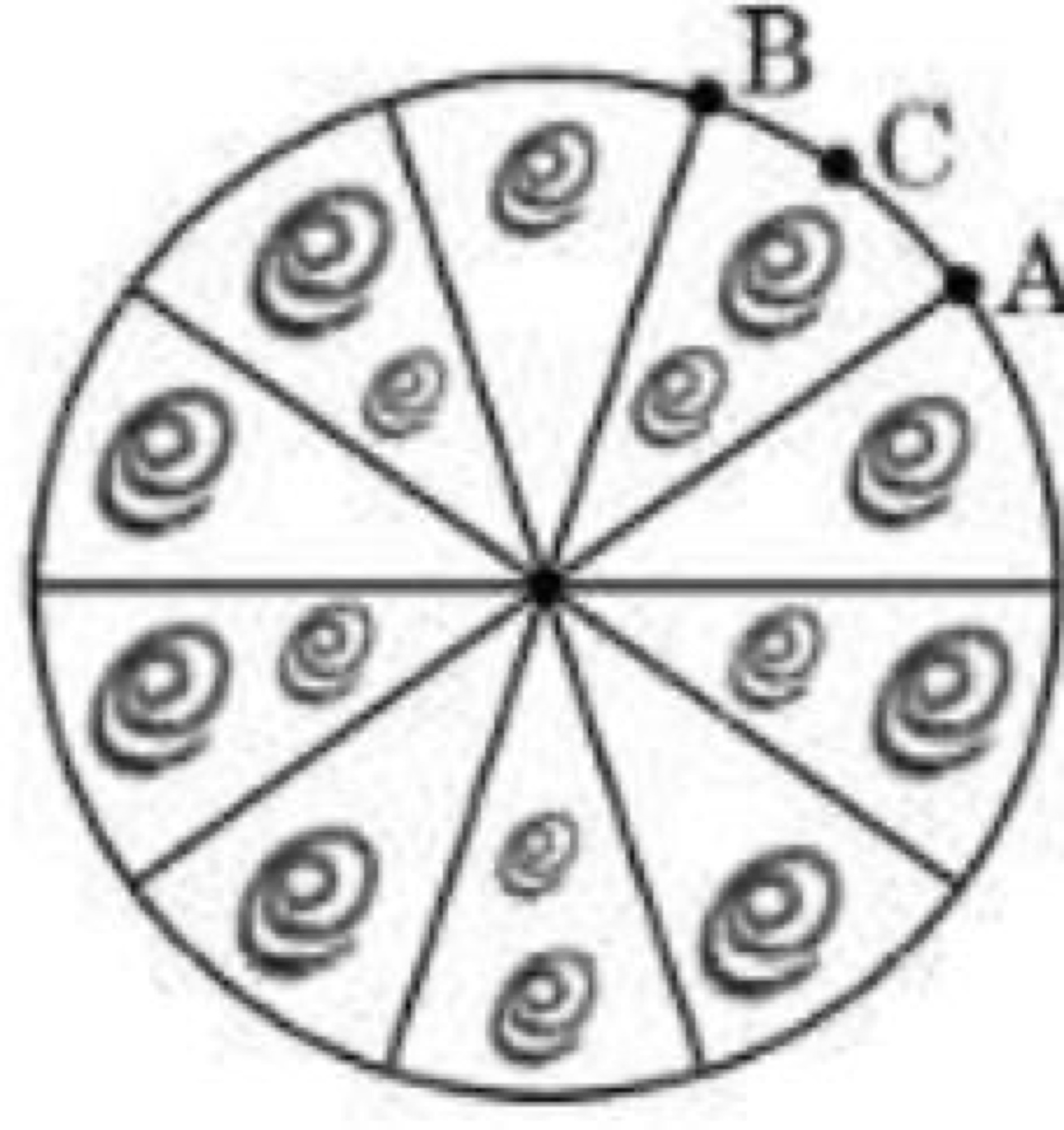 Circle divided into 10 equal sectors