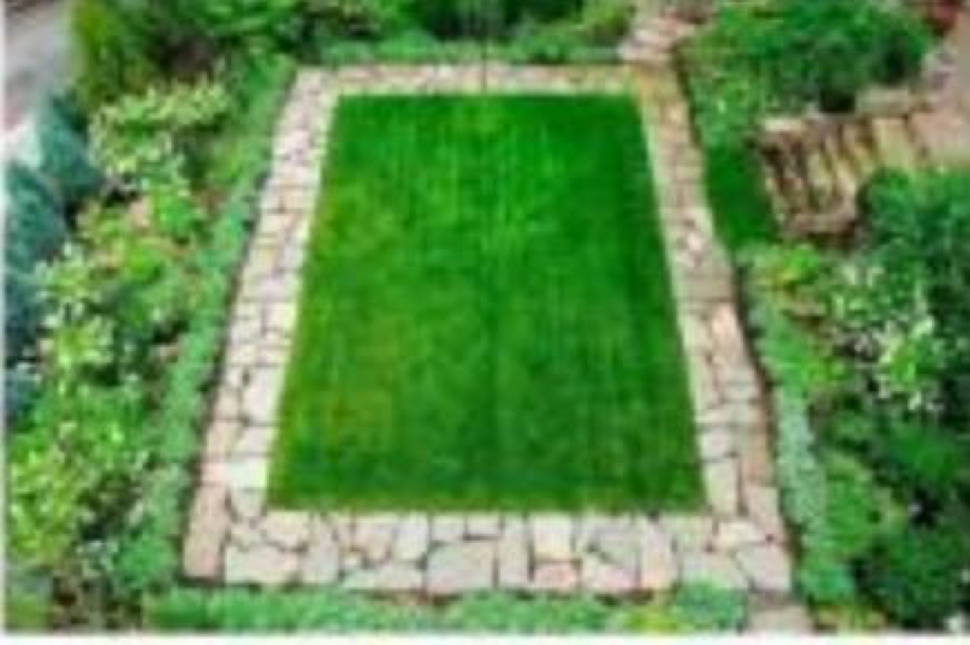 Garden lawn with walkway